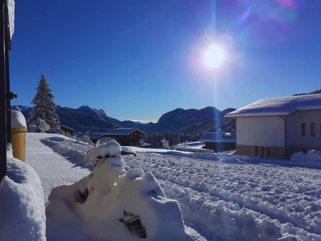  Snowy landscape 