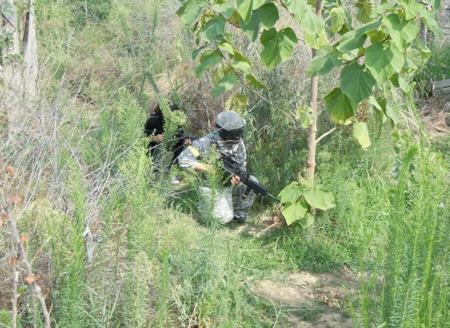 en forêt 