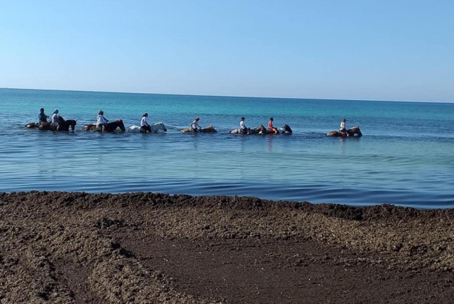 海上旅行