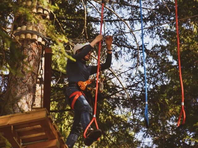  Adventure park.