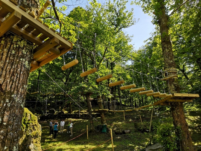 The adventure park. 
