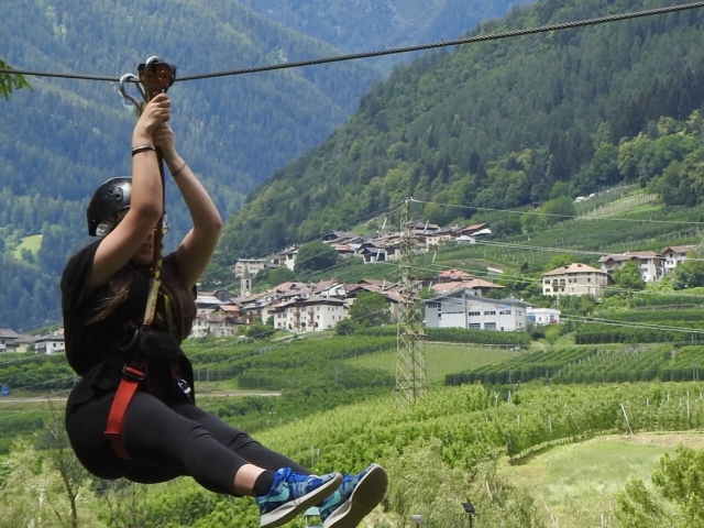  Ziplines. 