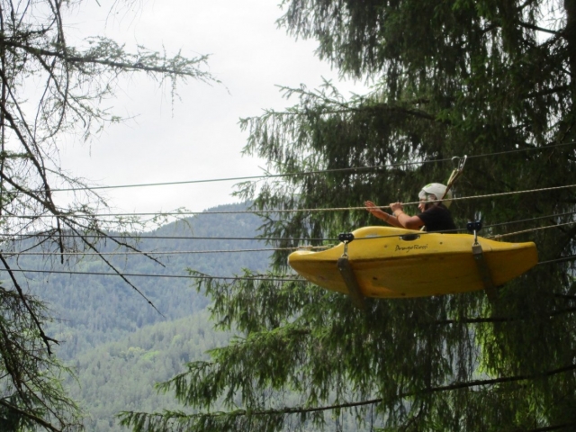 Suspended in the woods.