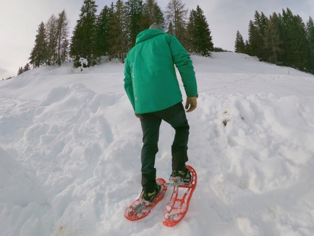  Raquette en montagne. 