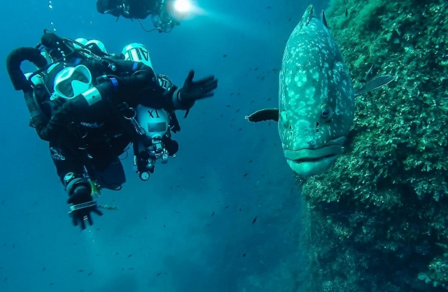  diving on Elba 