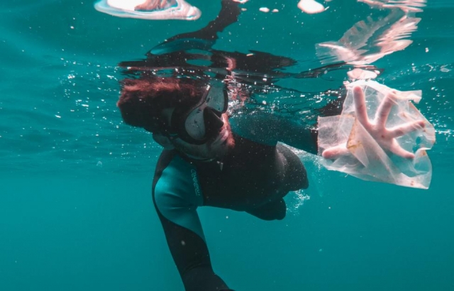  réunion de snorkeling