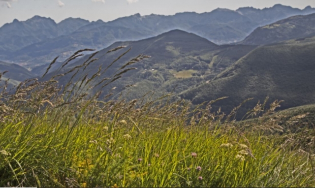 paisagem maravilhosa 