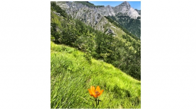  Uncontaminated nature