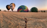 Voo de balão de ar quente de 1 hora em Gravina in Puglia