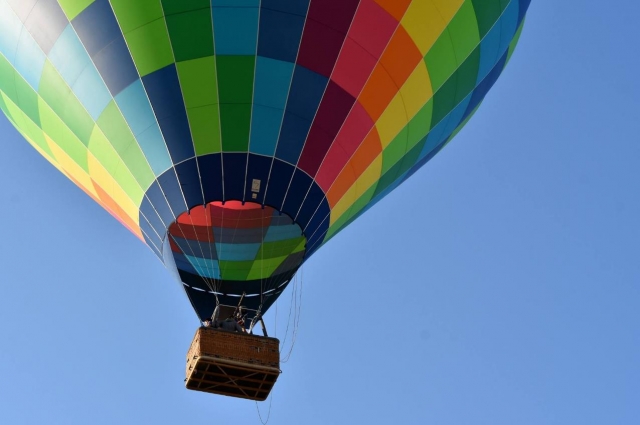  multicolored hot air balloon 