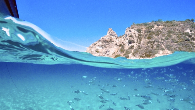  GROTTICELLE-FISCHE 