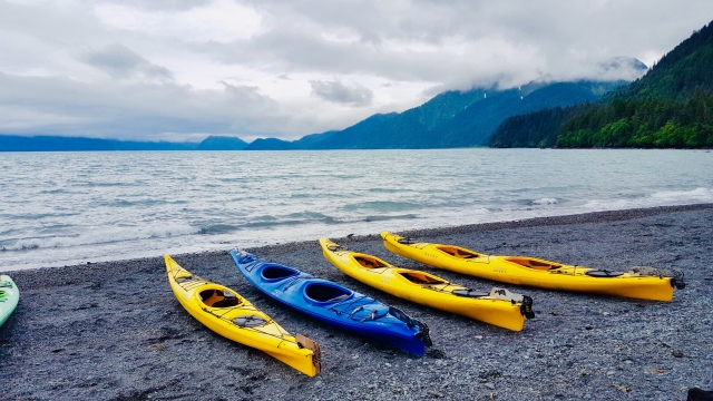  Some of our canoes 
