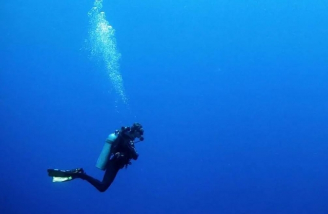 Diving in Puglia