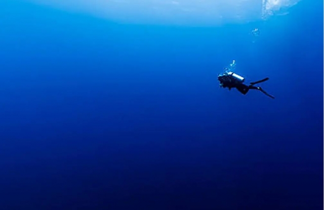 Esplorando le profondità marine