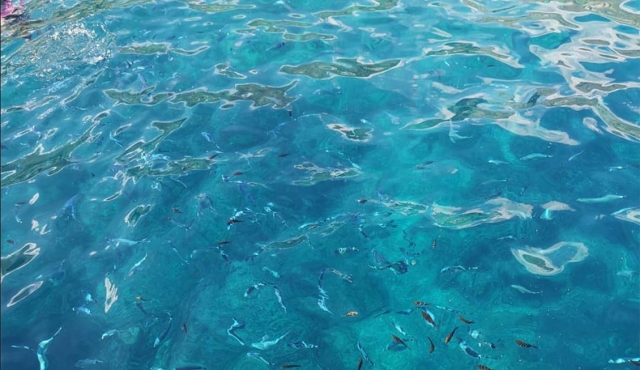  Transparentes Meer 