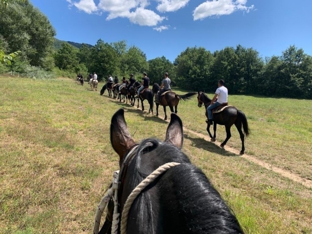 in lazio a cavallo