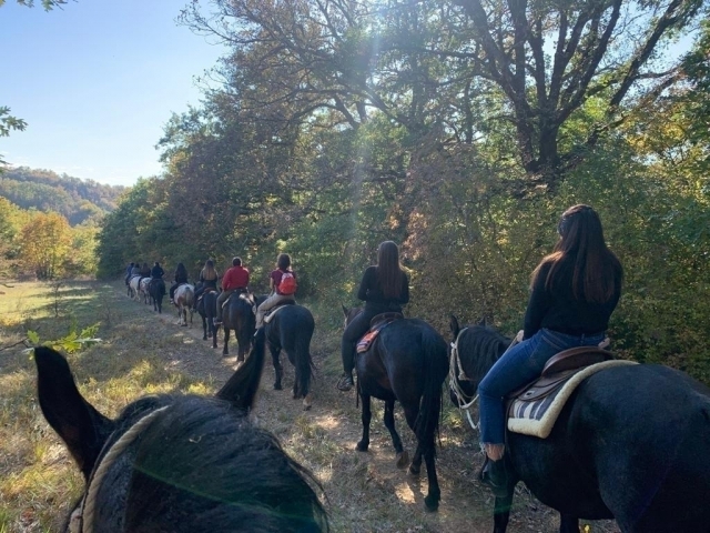 escursione in sella