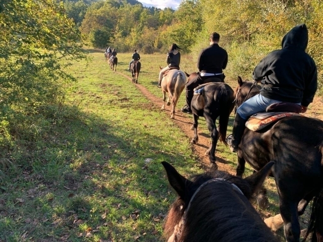 in natura a cavallo