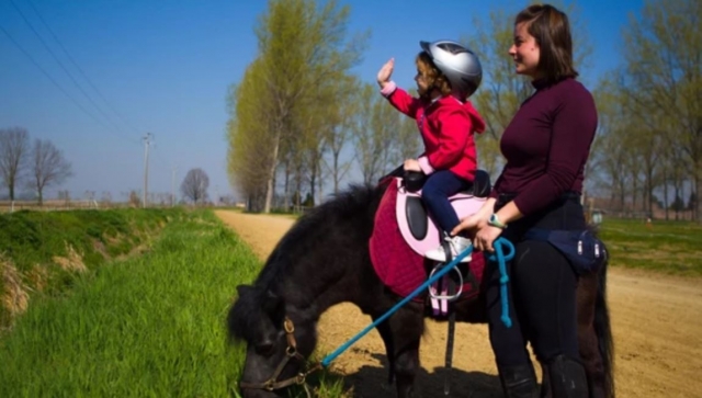  Aktivitäten für Erwachsene und Kinder