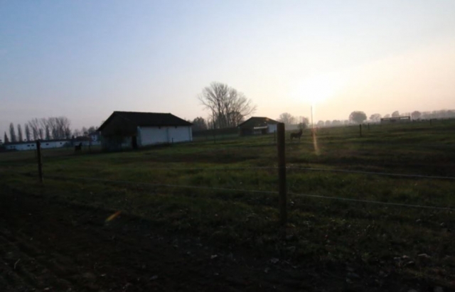  erweitertes Feld 
