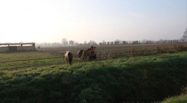  Fahrerlager 