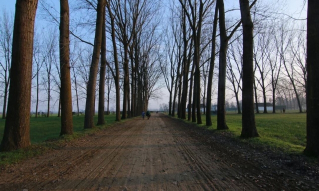  Teil der Strecke 