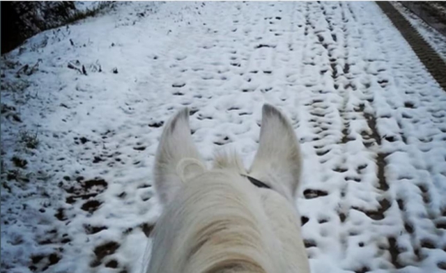  Winterspaziergang 