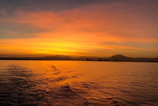  pôr do sol com golfinhos - cópia 