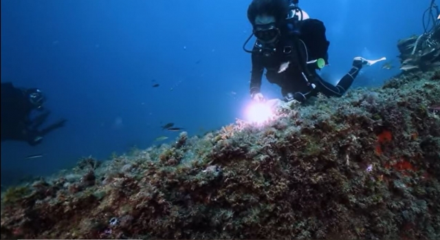  Découverte des fonds marins