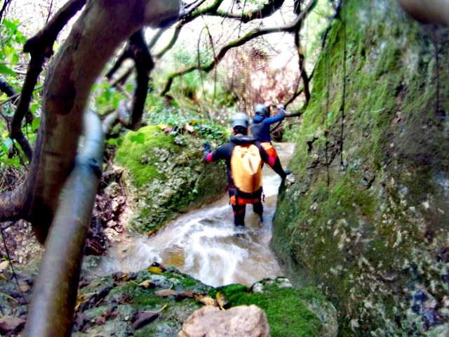  Immergé dans la nature 