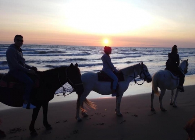  a cavalo ao amanhecer 
