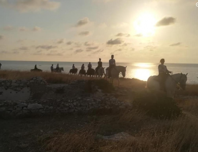  Comece o seu dia a cavalo