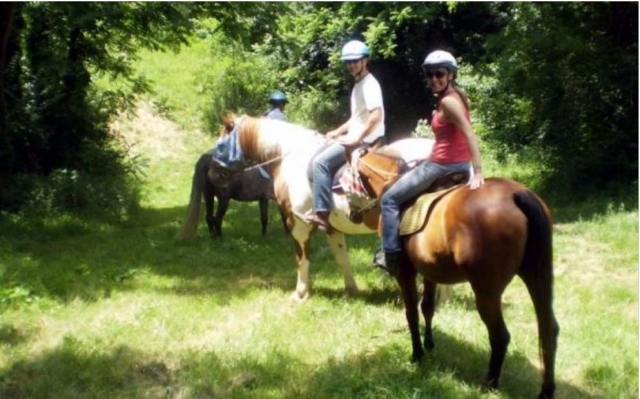  A caballo por el bosque 