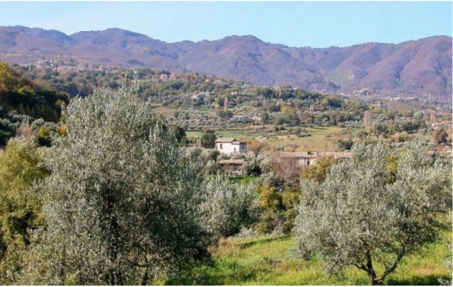  Natural landscape 