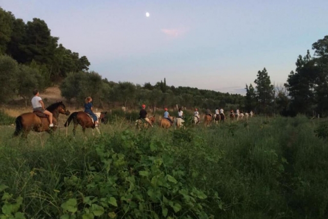  en el campo de Puglia 