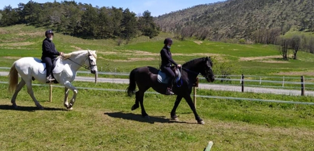  Learning the different gaits 