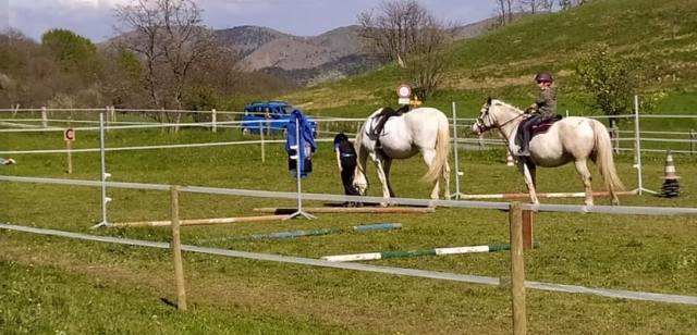  In the riding stables 