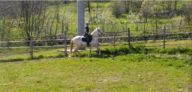  In the saddle 