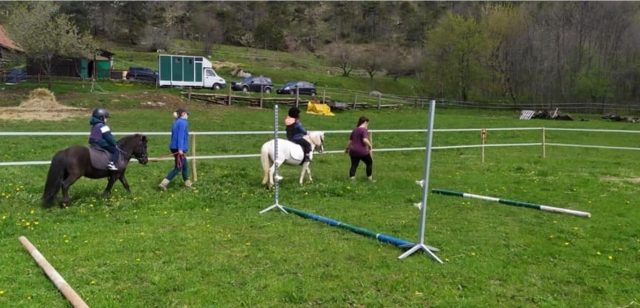  Learn new horse riding techniques 