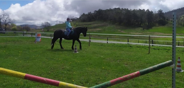  Riding lesson in Alessandria 