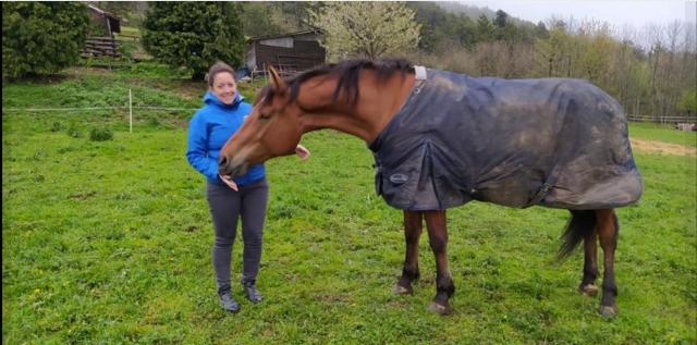 One of our horses 