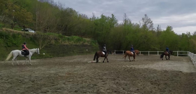  Riding lesson 
