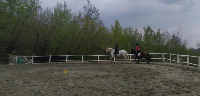  In the riding school 