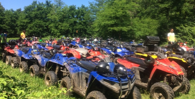 Our quads 