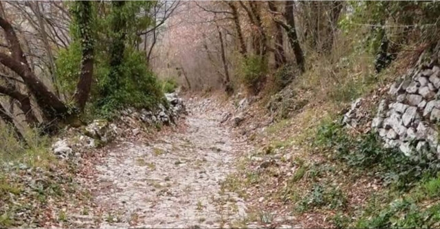  米斯卡诺山谷的小路 