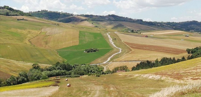  Landscape of the Miscano Valley 