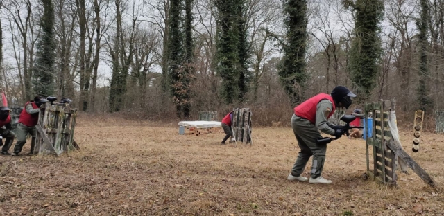 Nel bosco