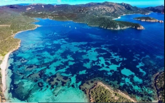  From above 
