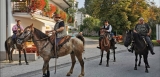 Balade à cheval d'une heure dans le Val Rosandra