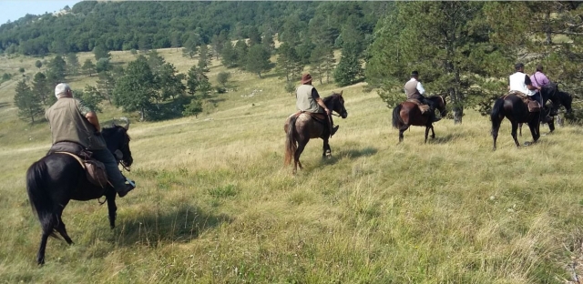  Montar a caballo Trieste 